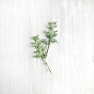 Cola-Kraut-warenkunde Cola-Kraut-warenkunde