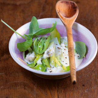 Lauch in Gorgonzola-Cremesauce Lauch in Gorgonzola-Cremesauce