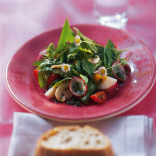 Frühlingssalat Frühlingssalat