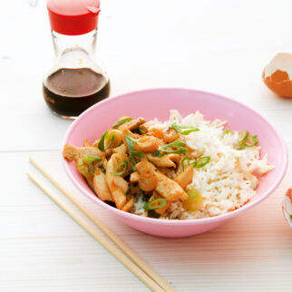 Japan-Reistopf Japan-Reistopf