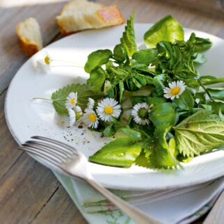 Brunnenkressesalat mit Wildkräutern und Blüten Brunnenkressesalat mit Wildkräutern und Blüten