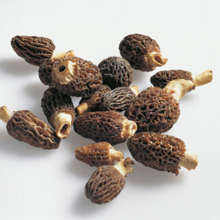 Seltene Pilze Morcheln Seltene Pilze Morcheln