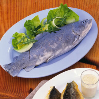 Forelle blau Forelle blau