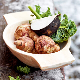 Topinambur Topinambur