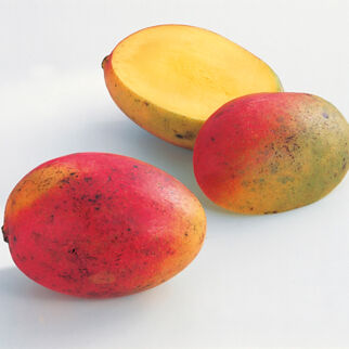 Mangos Mangos