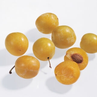 Mirabellen Mirabellen