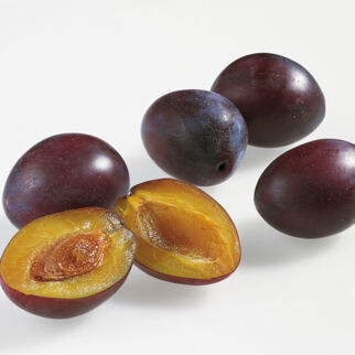 Zwetschgen Zwetschgen