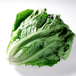 Römersalat Römersalat