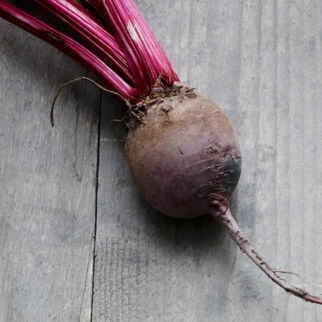 Detox Booster Rote Bete Detox Booster Rote Bete