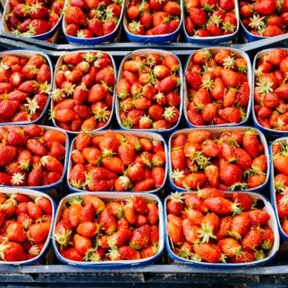 Frisch, süß, lecker, voller Vitamine und bei fast jedem beliebt, die Rede ist von Erdbeeren. Erdbeeren