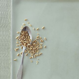 Dinkel Getreide Körner auf Löffel - Dinkel Lebensmittel-Warenkunde Dinkel