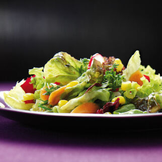 Blattsalat mit Kresse Blattsalat mit Kresse