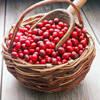 Cranberries Cranberries