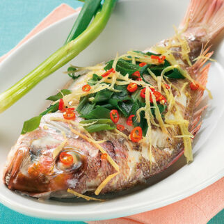 Gedämpfte Doraden Gedämpfte Doraden