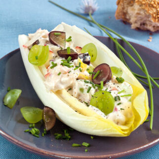 Chicorée mit Quarkfüllung Chicorée mit Quarkfüllung