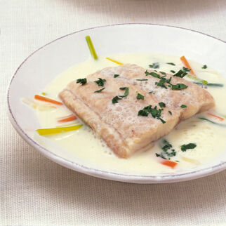 Waller in Wurzelsud Waller in Wurzelsud