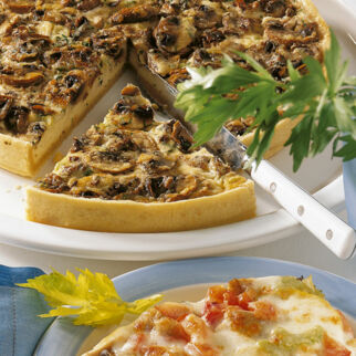Pilzquiche Pilzquiche