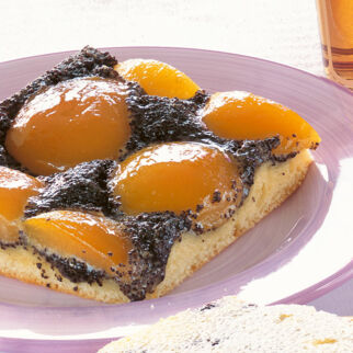 Mohn-Aprikosenkuchen Mohn-Aprikosenkuchen