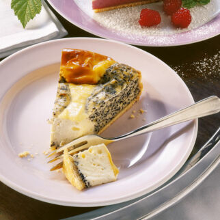 Mohn-Cheesecake Mohn-Cheesecake