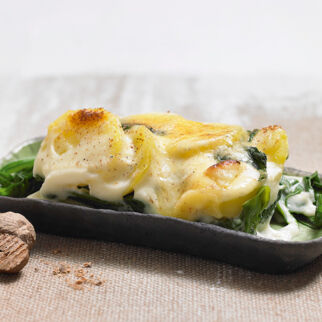 Kartoffel-Spinat-Gratin Kartoffel-Spinat-Gratin