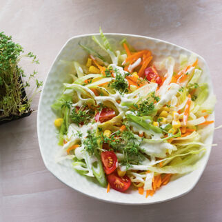 Bunter Salat mit Kressesauce Bunter Salat mit Kressesauce