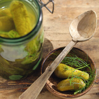 Essig-Honig-Gürkchen Essig-Honig-Gürkchen