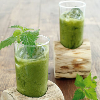 Green-Power-Smoothie Green-Power-Smoothie