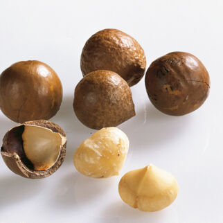 Macadamianüsse Macadamianüsse