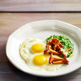 Pfifferlingrezepte Pfifferlingrezepte