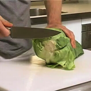 Spitzkohl richtig putzen und verarbeiten Spitzkohl richtig putzen und verarbeiten