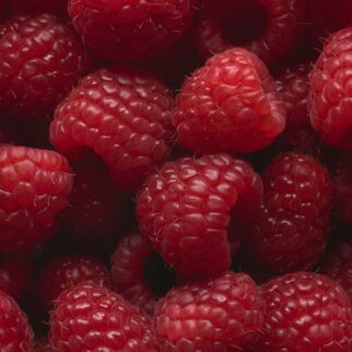 Fruchtig, frisch und lecker - das sind Himbeeren. Himbeeren