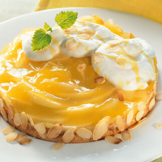 Apfel-Biskuit-Kuchen Apfel-Biskuit-Kuchen