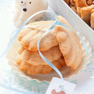 Helle Bärentatzen Helle Bärentatzen