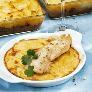 Limetten-Seehecht Limetten-Seehecht