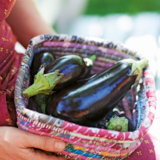 Sommerküche, Auberginen werden in einem Korb gehalten Auberginen Unterseite