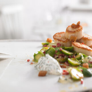 jakobsmuscheln_auf_rosenkohlgemuese jakobsmuscheln_auf_rosenkohlgemuese