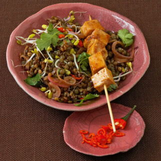 Asia-Linsensalat mit Tofuspieß Asia-Linsensalat mit Tofuspieß