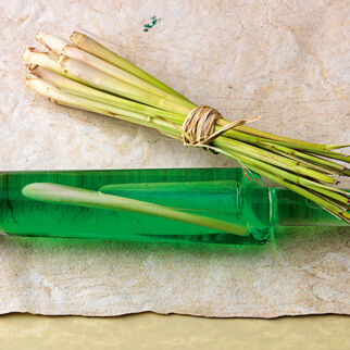 Zitronenmelissesirup Zitronenmelissesirup