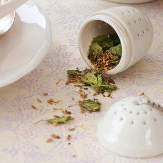 Milchbildungstee Milchbildungstee