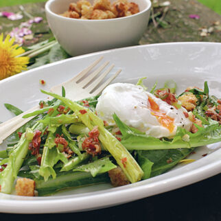 Löwenzahnsalat mit Speck Löwenzahnsalat mit Speck