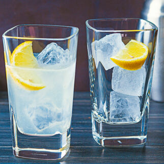 Gin Fizz Gin Fizz