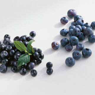 Heidelbeeren Heidelbeeren