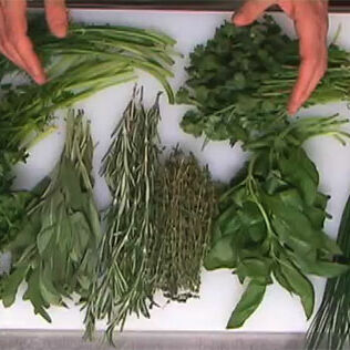 Kräuter und ihre Vielfalt Kräuter und ihre Vielfalt