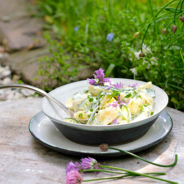 Kräuter-Kartoffelsalat Rezept | Küchengötter