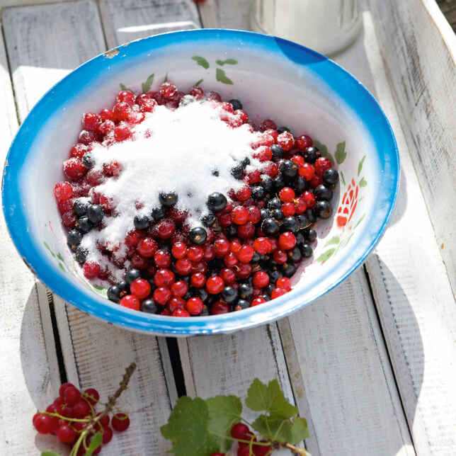 Joghurt-Johannisbeer-Kuchen Rezept | Küchengötter