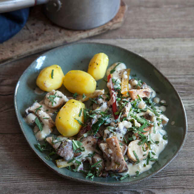 Mangoldröllchen mit Kartoffel-Linsen-Füllung Rezept | Küchengötter