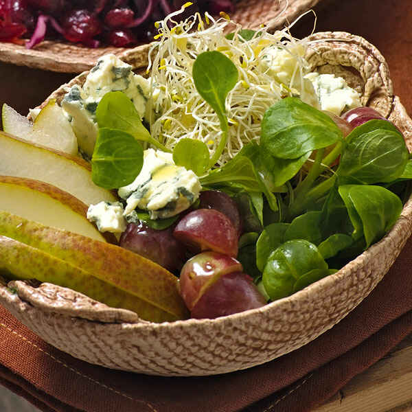 Feldsalat mit Brie und Preiselbeer-Dressing Rezept | Küchengötter