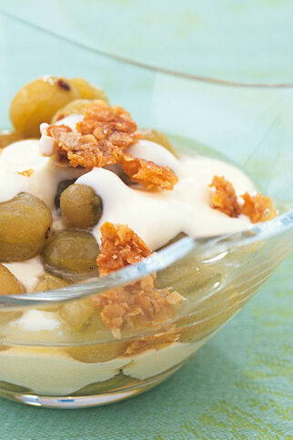 Gooseberry fool exklusiv Gooseberry fool exklusiv