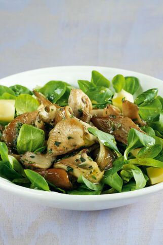 Feldsalat mit gebratenen Austernpilzen Feldsalat mit gebratenen Austernpilzen