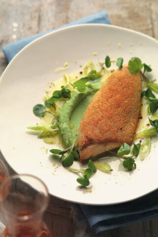 Saibling mit Krenkruste auf Brunnenkressepüree Saibling mit Krenkruste auf Brunnenkressepüree